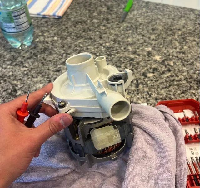 Replacement drain pump held before installation